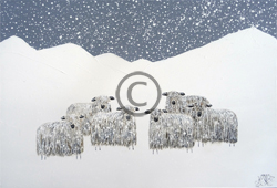 Sheep Paintings on Canvas